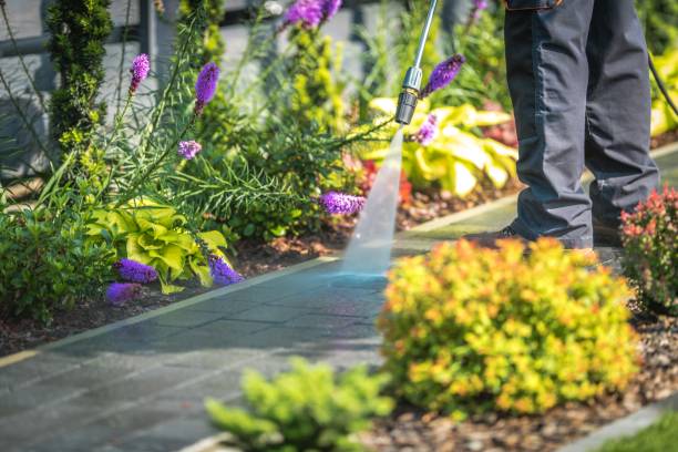 Best Gutter Cleaning  in Webster, TX